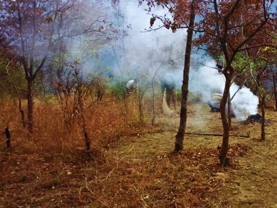 Blazing Fires